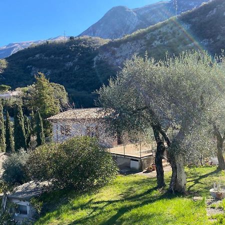 Olive Grove House Apartment Malcesine Bagian luar foto