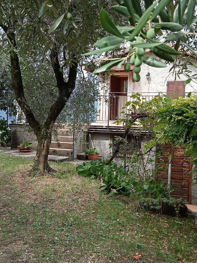 Olive Grove House Apartment Malcesine Bagian luar foto