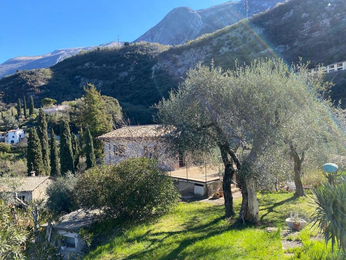 Olive Grove House Apartment Malcesine Bagian luar foto