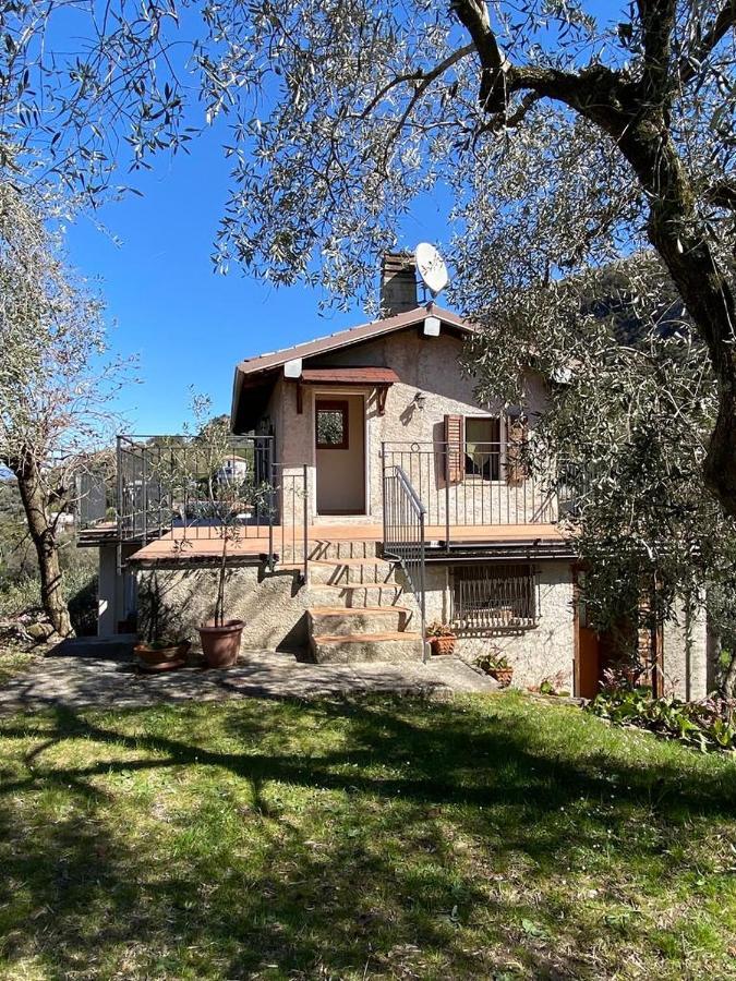 Olive Grove House Apartment Malcesine Bagian luar foto