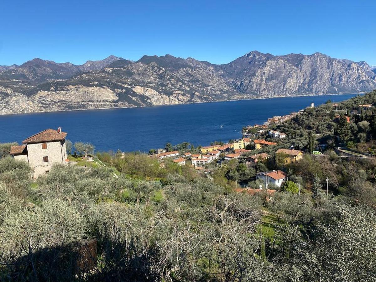 Olive Grove House Apartment Malcesine Bagian luar foto
