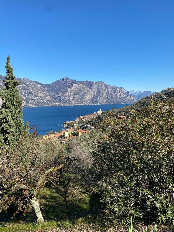 Olive Grove House Apartment Malcesine Bagian luar foto